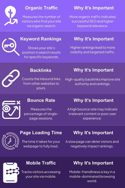 SEO Metrics Infographics ENG