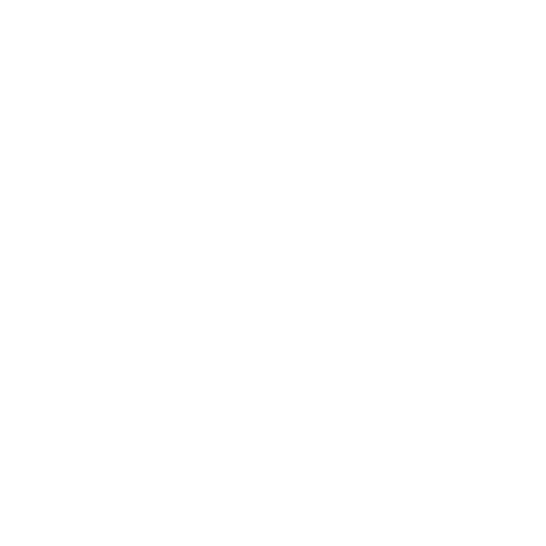 WordPress-logotype-wmark-white