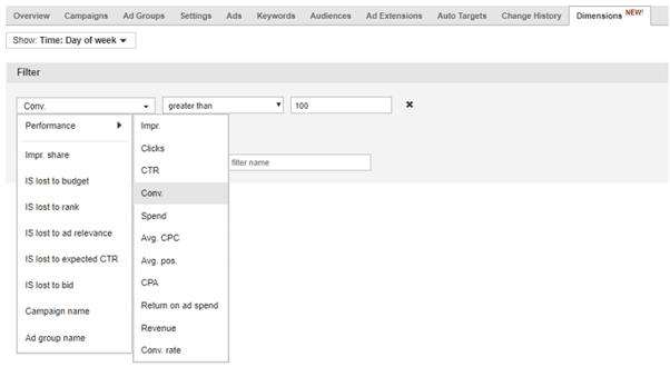 bing-ads-dimensions-tab-filters
