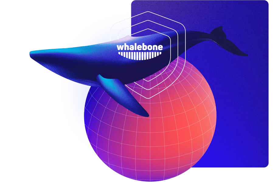 whalebone-image