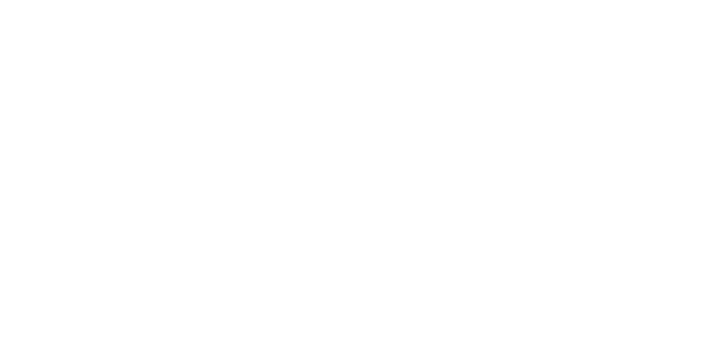Ecoflow