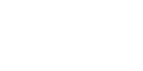 N.Rich-1